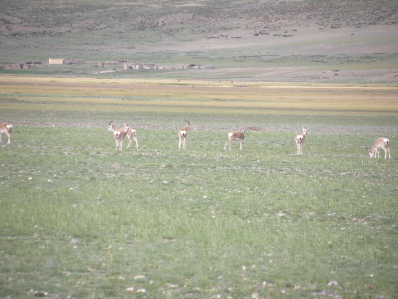 �Ҥ�iphone 887.jpg