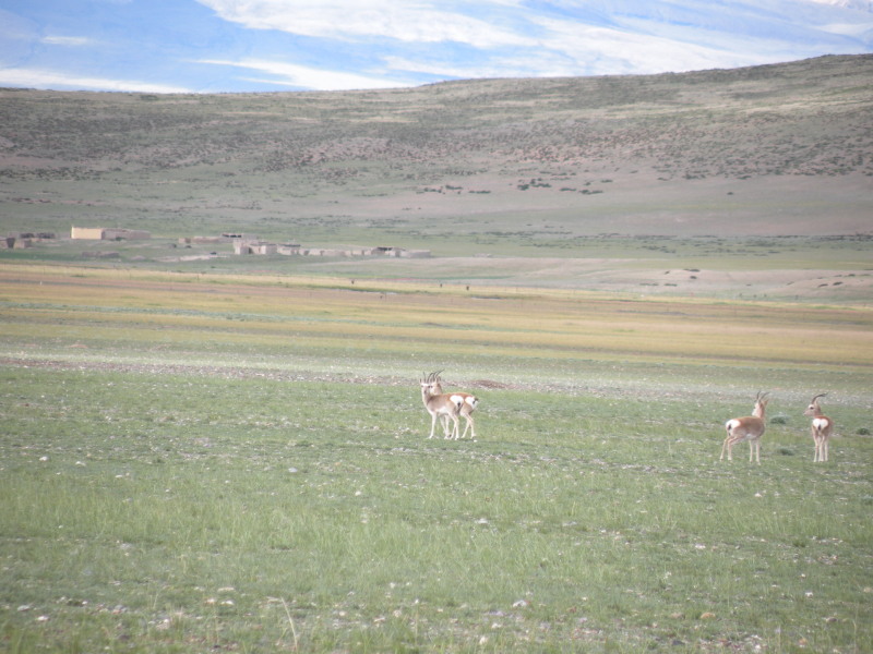 �Ҥ�iphone 885.jpg