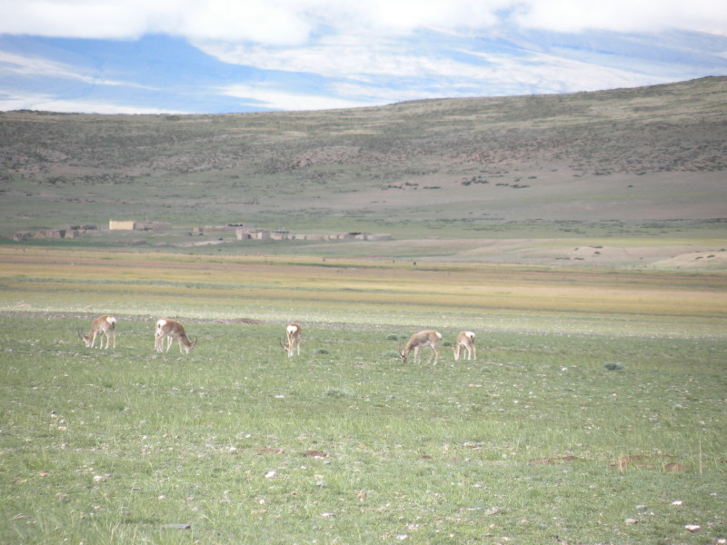 �Ҥ�iphone 884.jpg