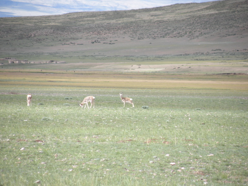 �Ҥ�iphone 883.jpg