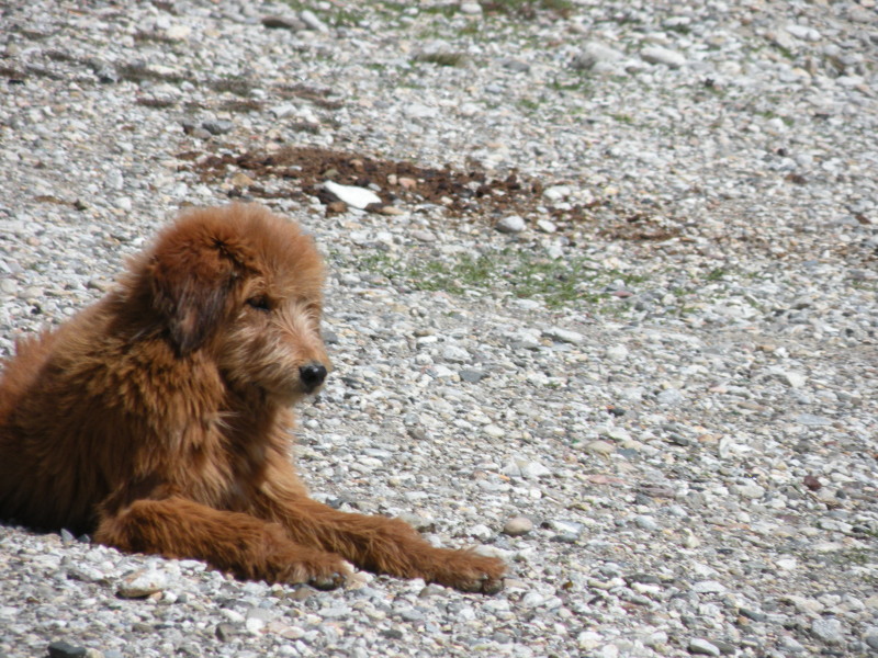 �Ҥ�iphone 929.jpg