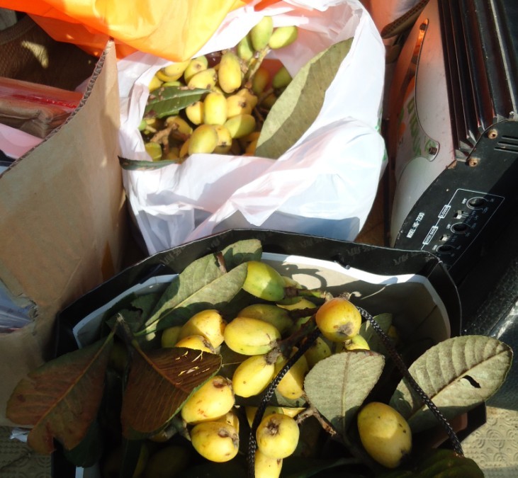 ����ɽ���� 1.jpg