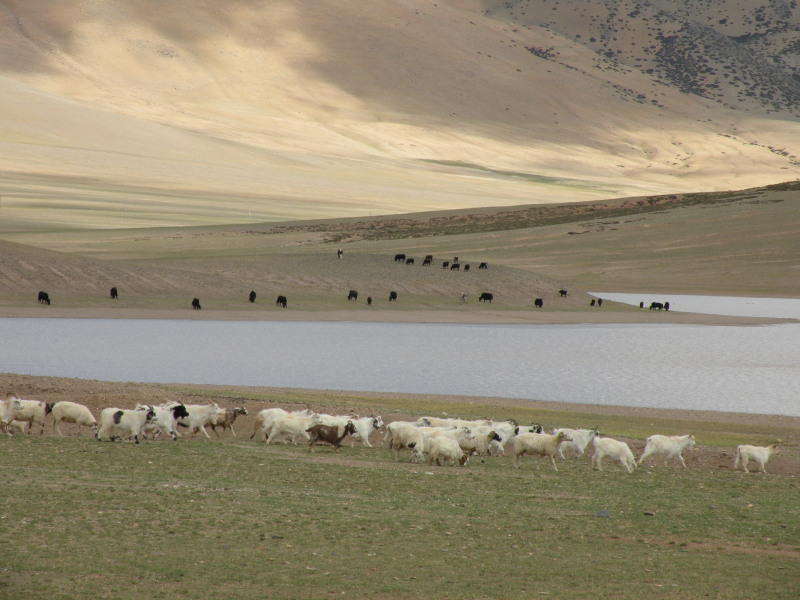 �Ҥ�iphone 1053.jpg