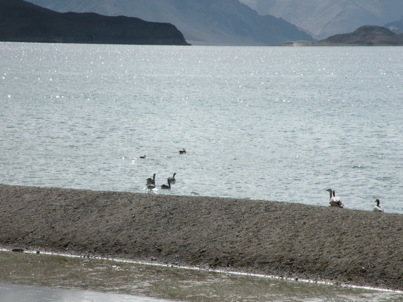 �Ҥ�iphone 1136.jpg