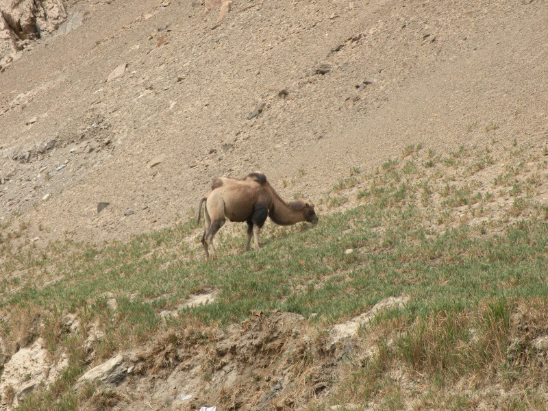 �Ҥ�iphone 1336.jpg