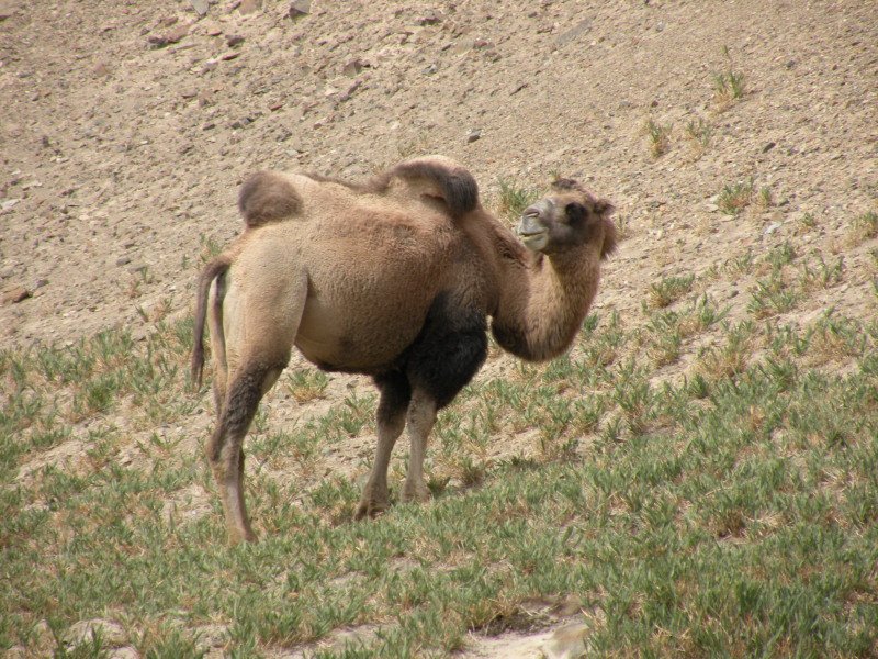 �Ҥ�iphone 1333.jpg