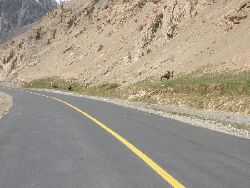 �Ҥ�iphone 1330.jpg