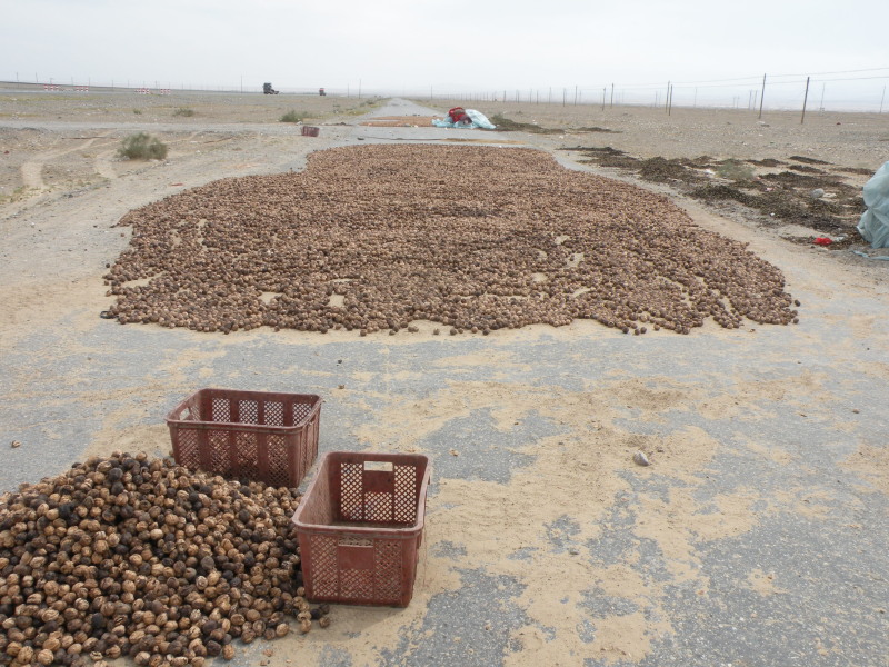 �Ҥ�iphone 1531.jpg