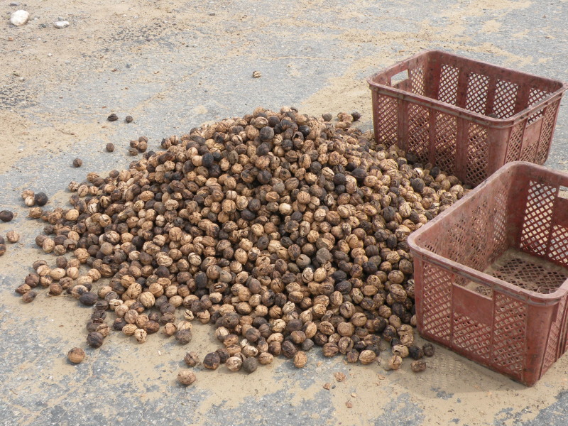 �Ҥ�iphone 1530.jpg