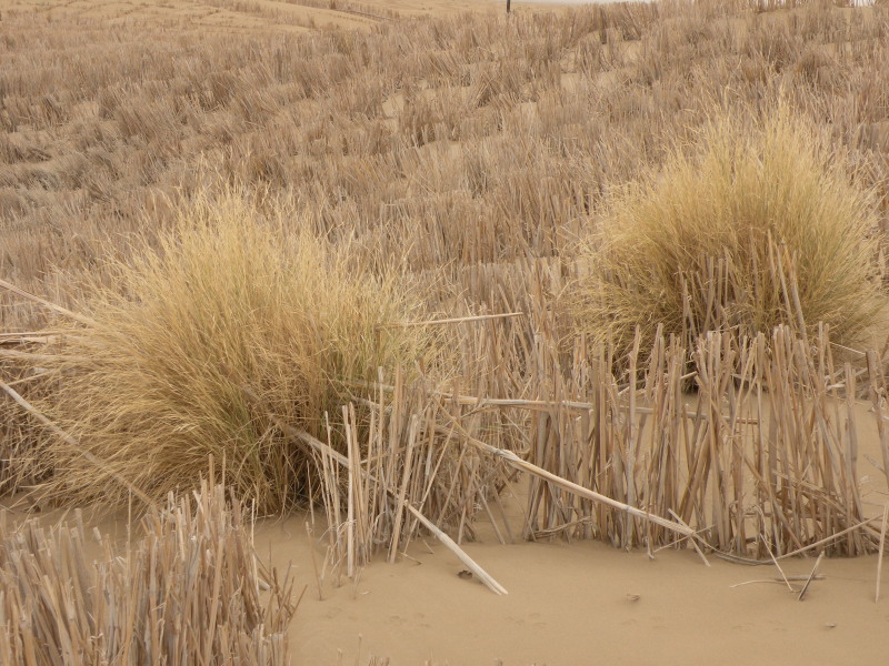 �Ҥ�iphone 1552.jpg