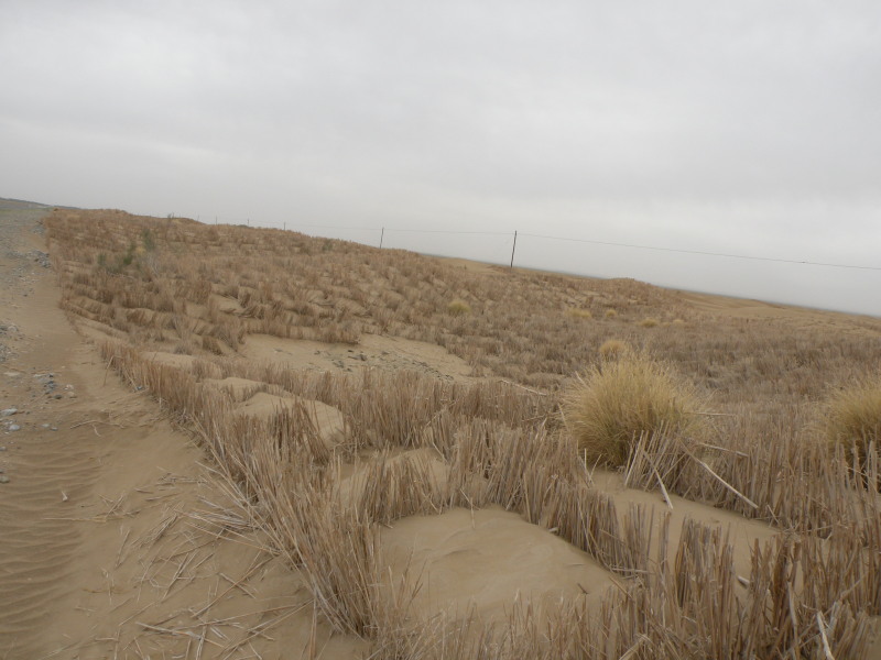 �Ҥ�iphone 1551.jpg