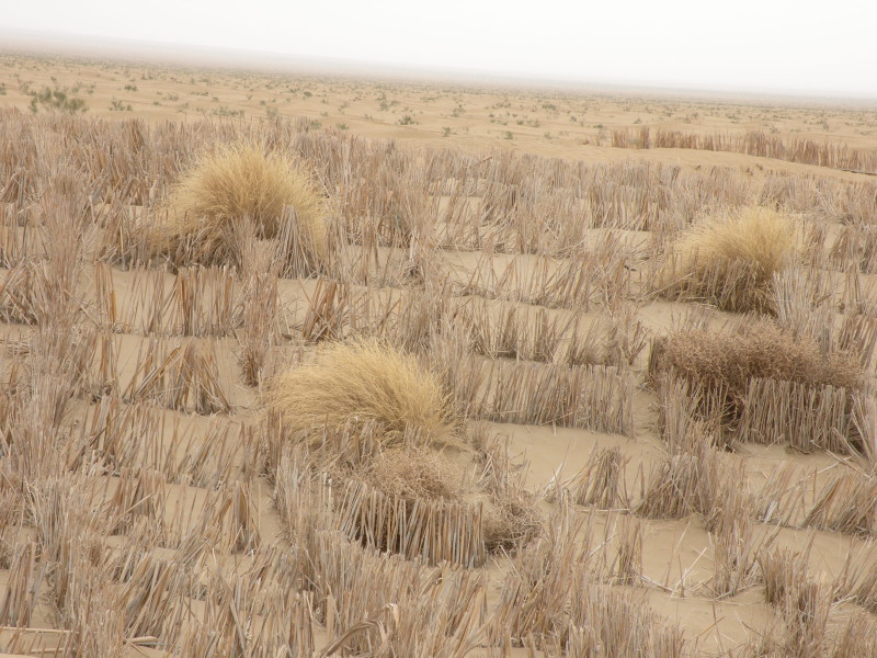 �Ҥ�iphone 1549.jpg