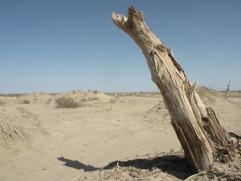 �Ҥ�iphone 1642.jpg