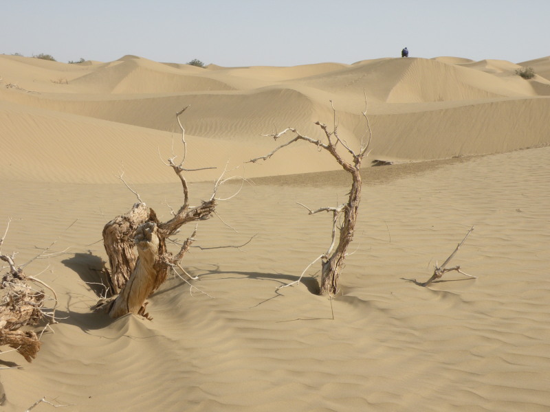 �Ҥ�iphone 1618.jpg