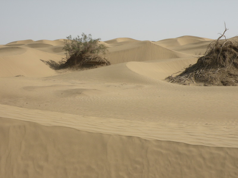 �Ҥ�iphone 1610.jpg