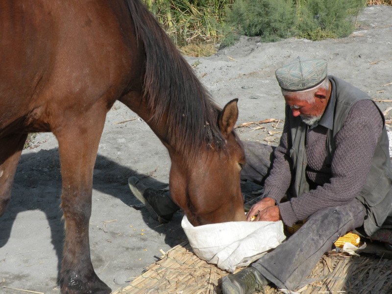 �Ҥ�iphone 1721.jpg