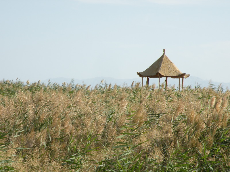 �Ҥ�iphone 1715.jpg