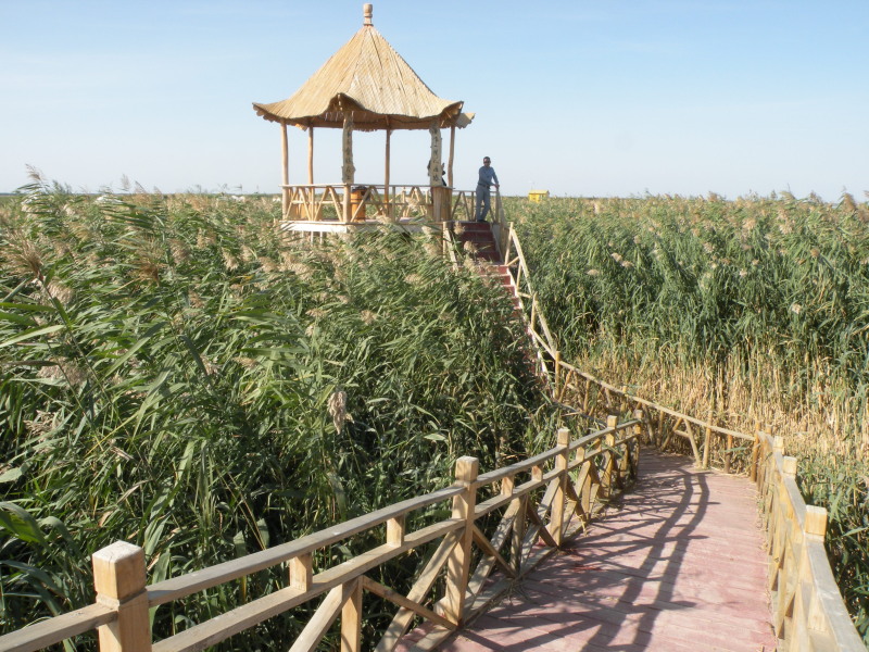 �Ҥ�iphone 1703.jpg