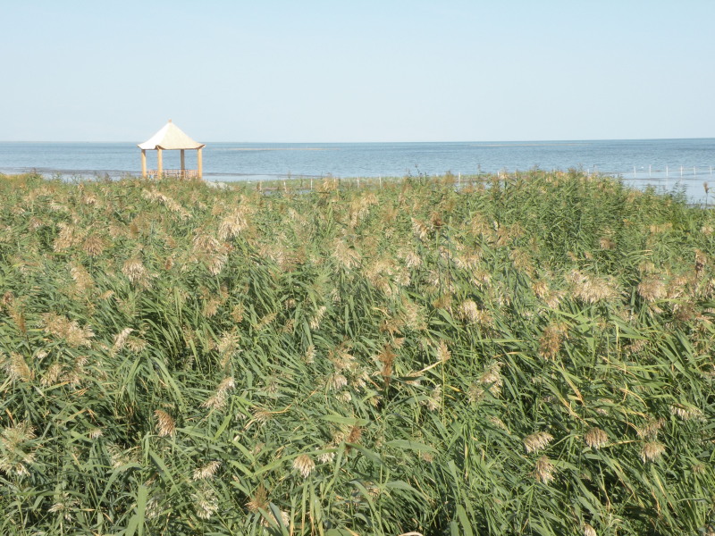 �Ҥ�iphone 1701.jpg