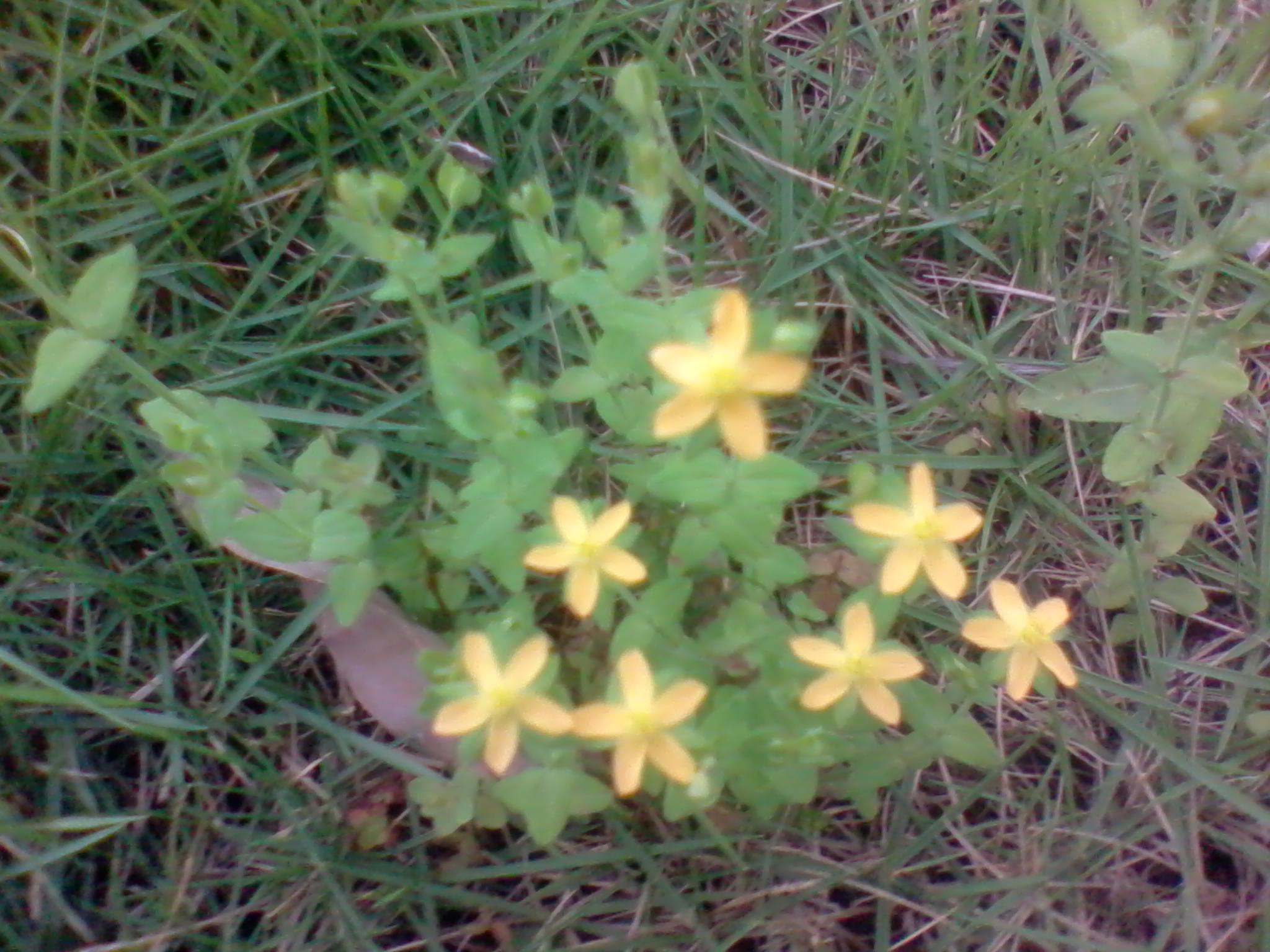 2013-04-21 16.11.04.jpg