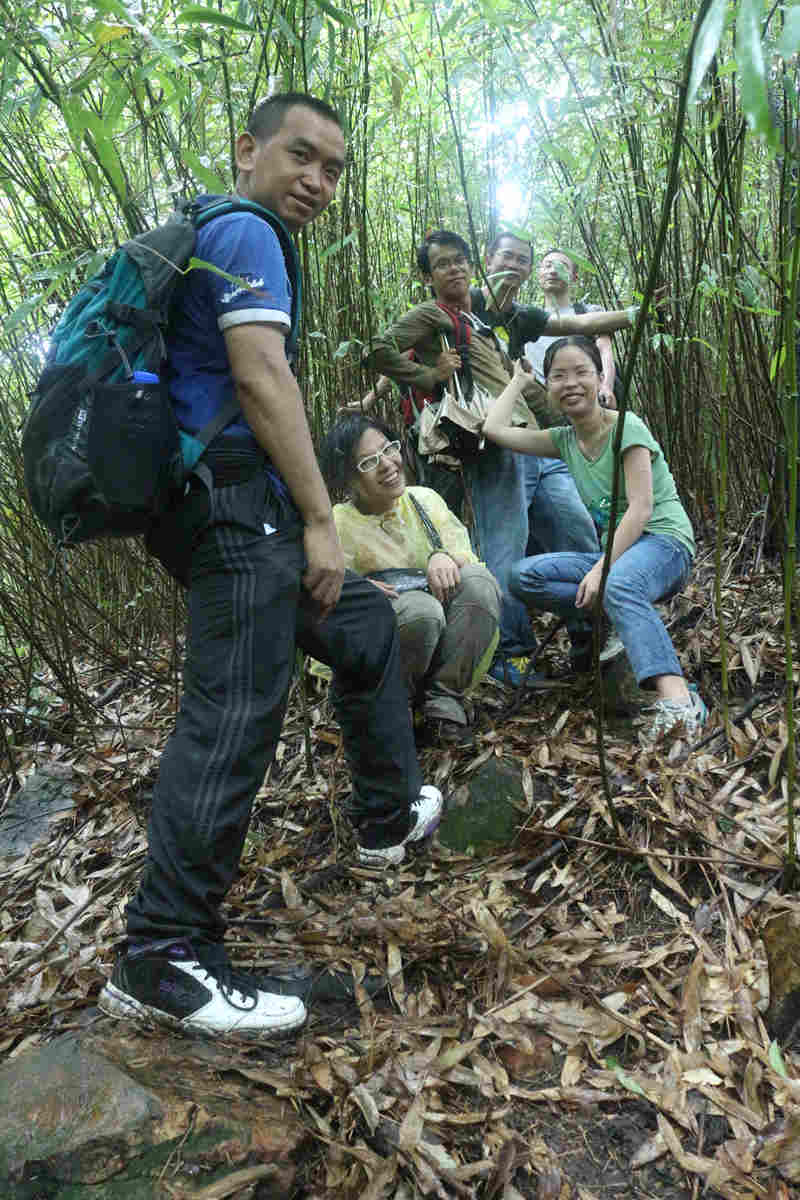 ���ֺ���