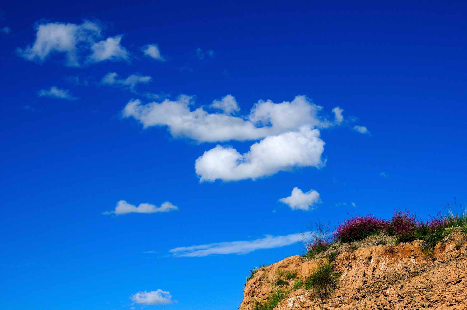 �صع���-8 ����.jpg