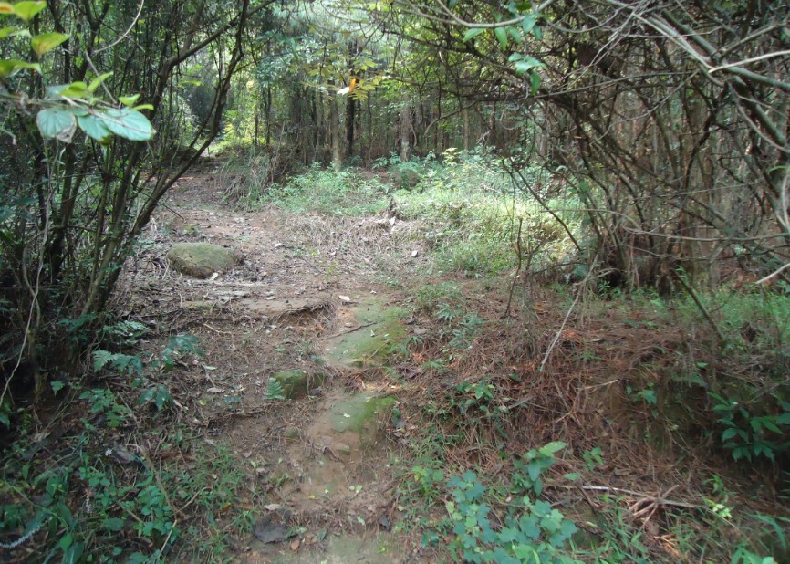 ����ɽ·�� 2.jpg