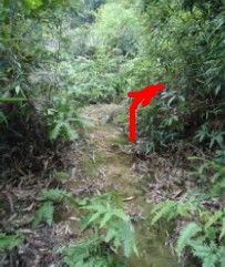 ����ɽ·�� 3-3.jpg