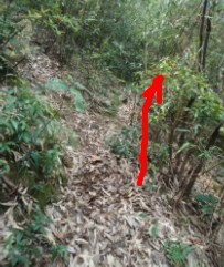 �޺��� 4-4.jpg