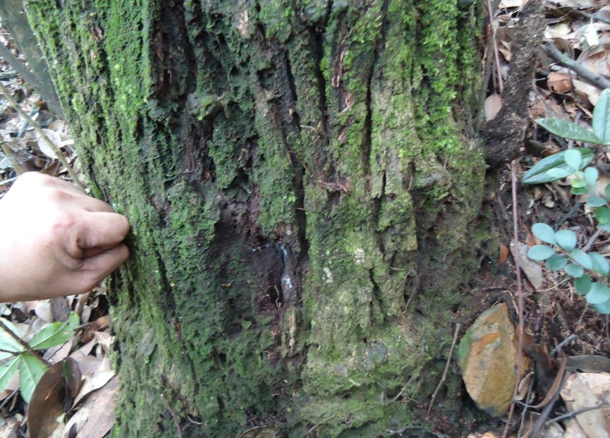 �޺��� 1.jpg