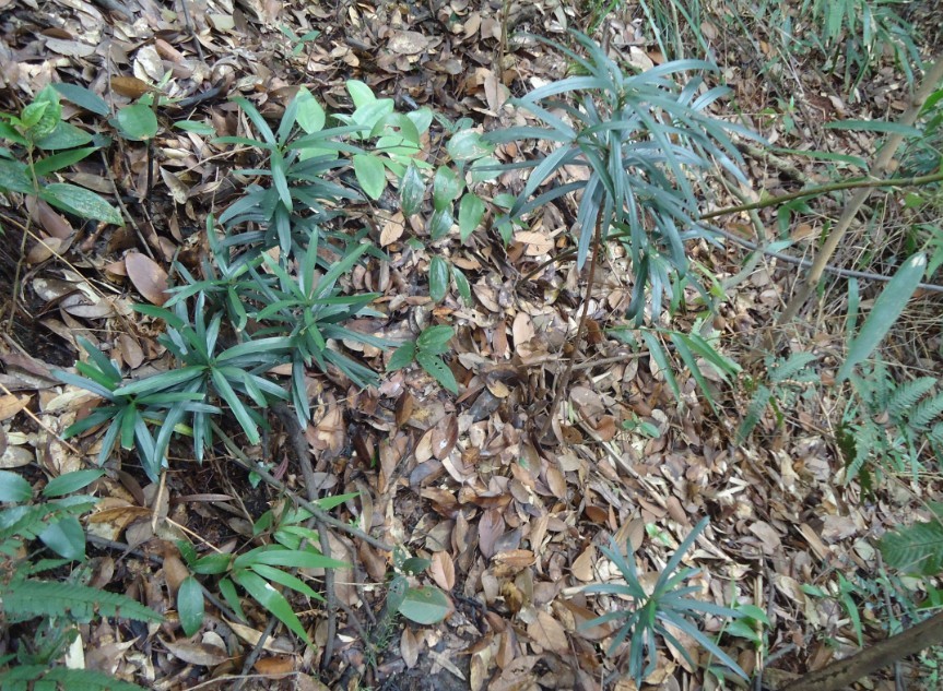 �޺��� 4.jpg