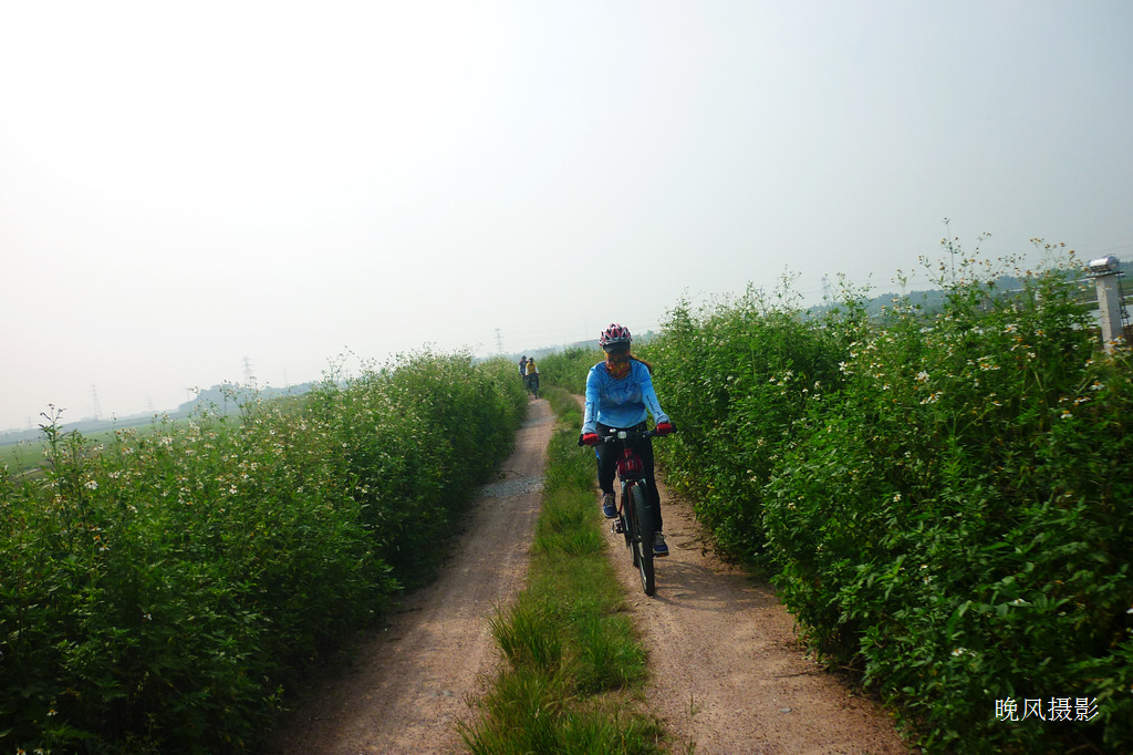 ��ɫ�д��С�