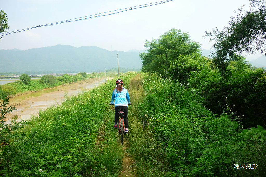 �����ֵ���������