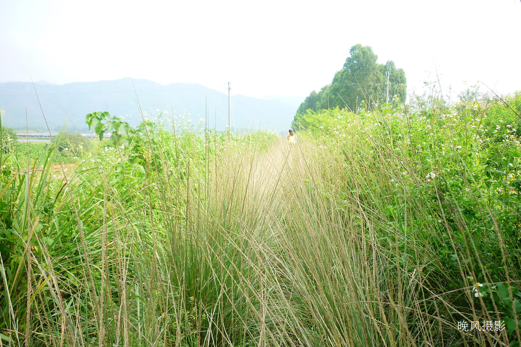 ��ȫ������·��ƾ�о�����