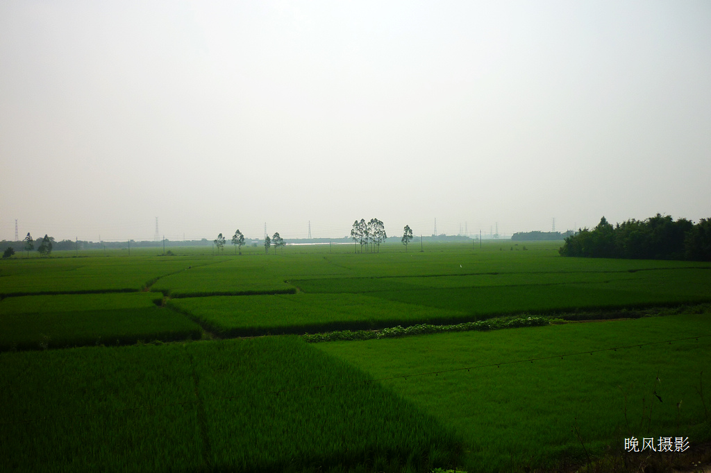 �Ա߾�����ɫ�ĵ���������