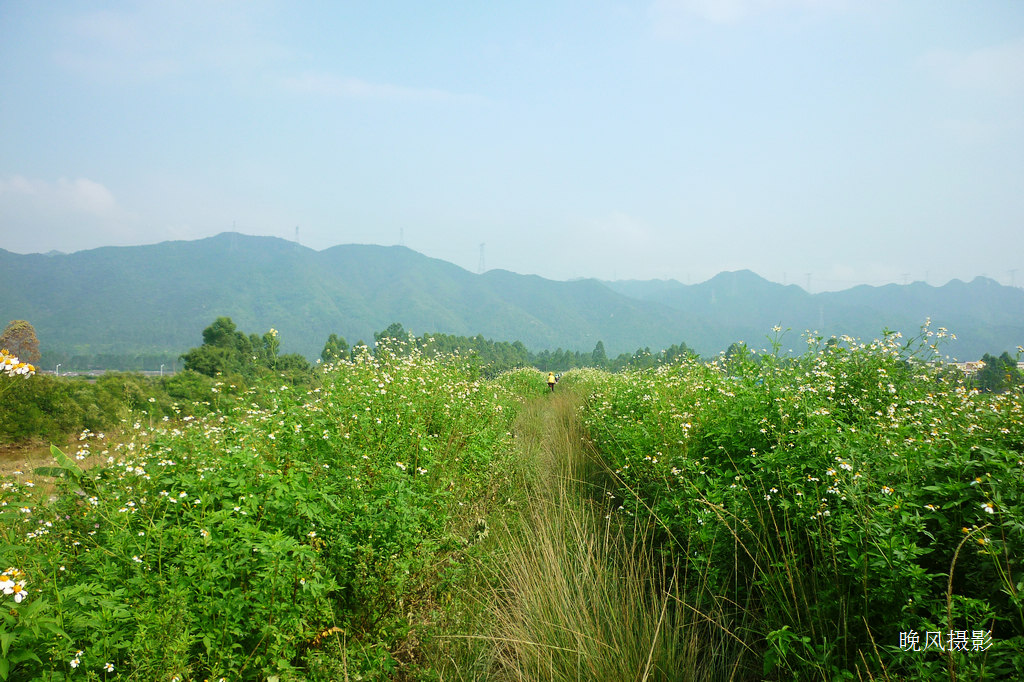 Ⱥɽ�̲������С�