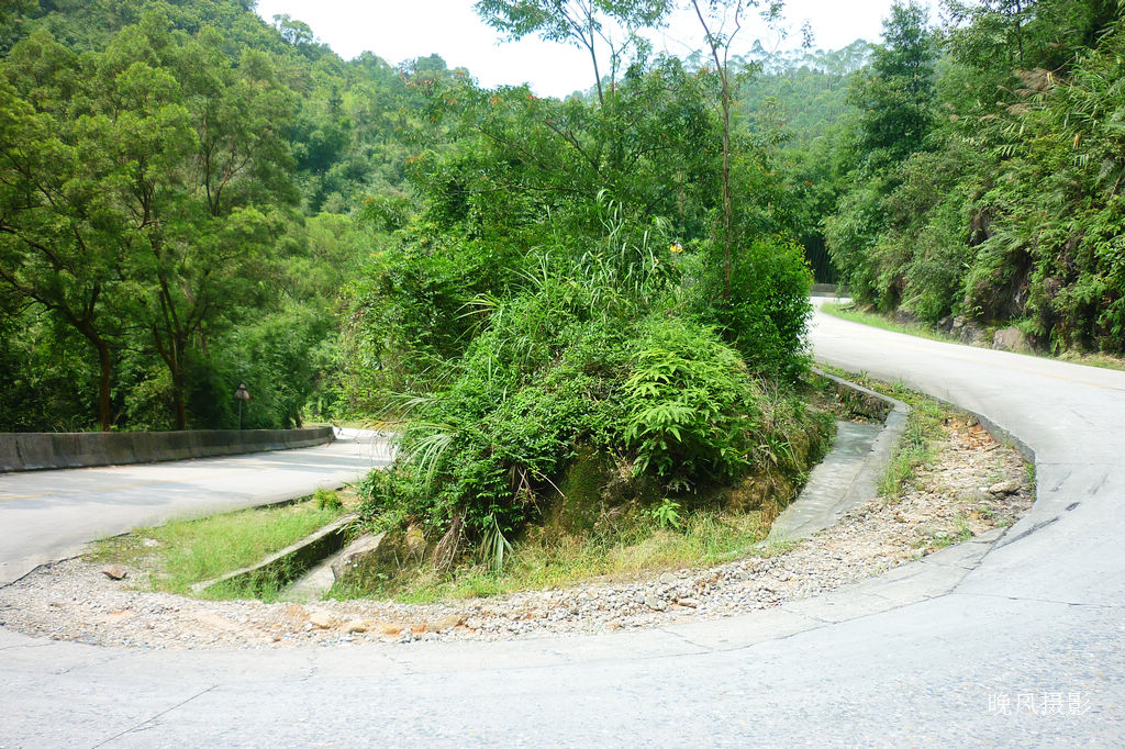 ��Ư���������