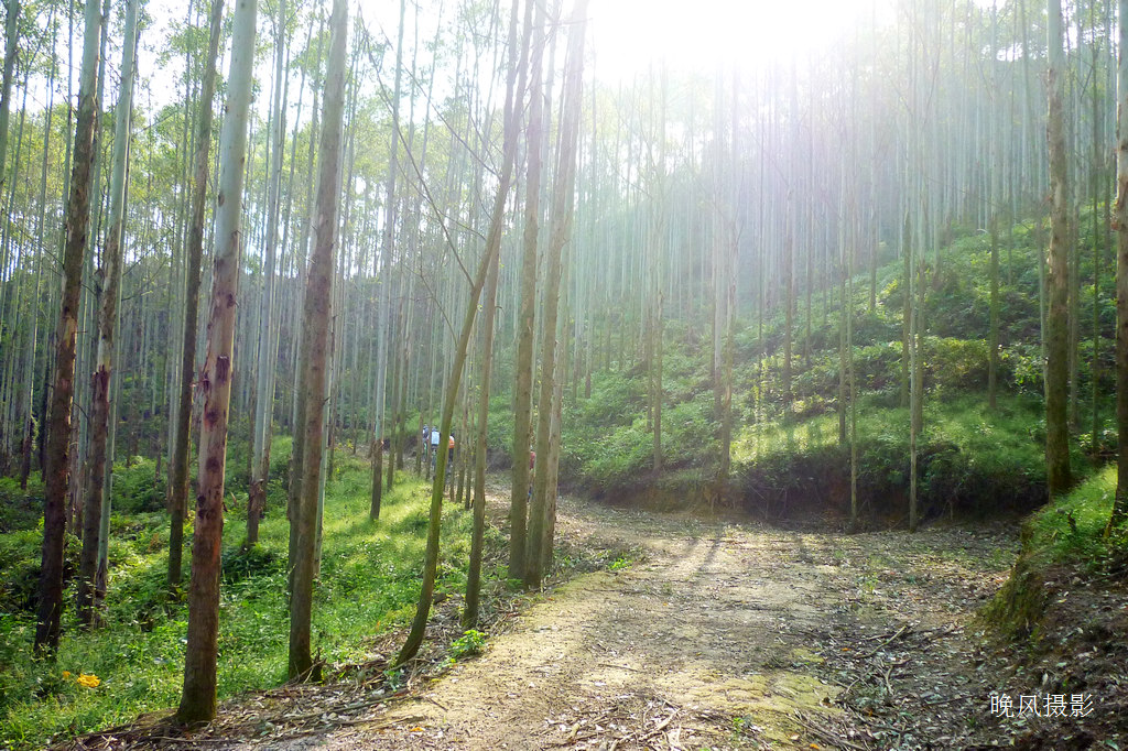 ��Ϥ�������糿