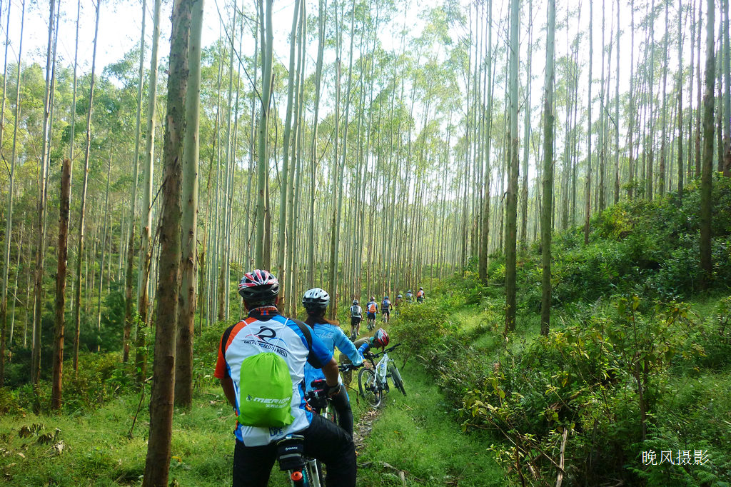 ǰ����������֧�����Ǻ������ġ�