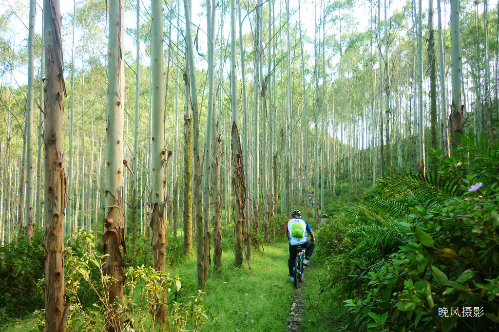 �ֵ���������