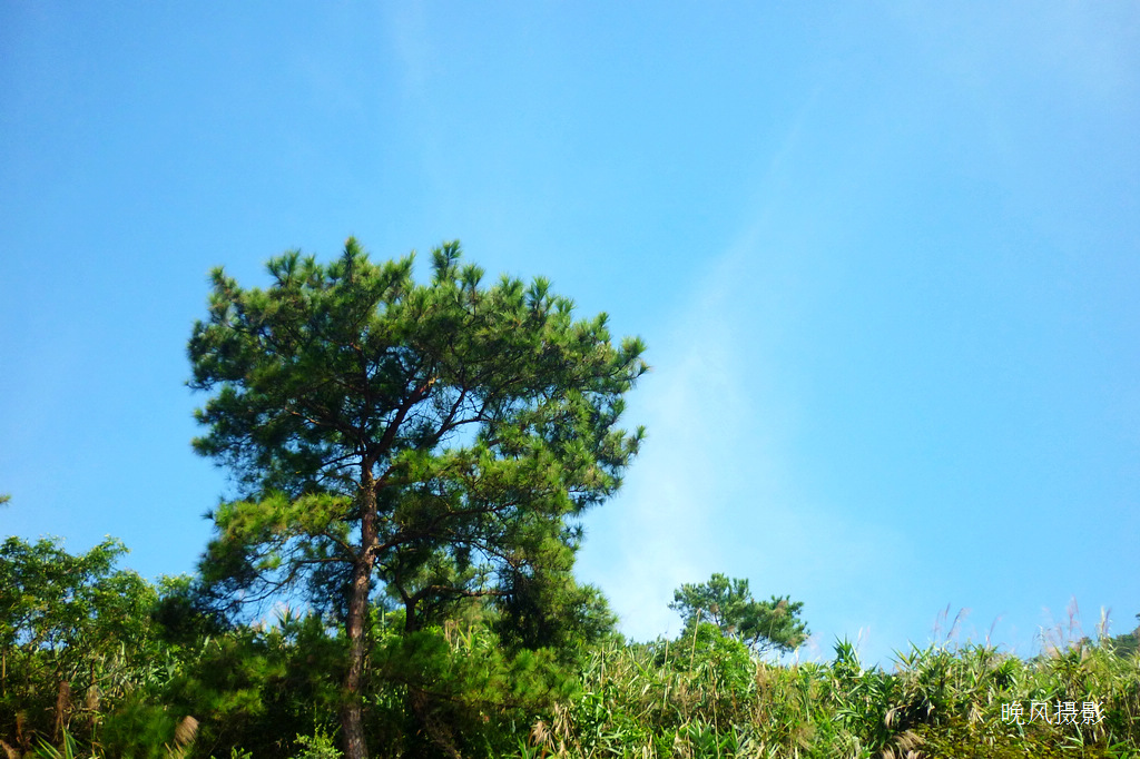 ������ˬ�����еĺ�����