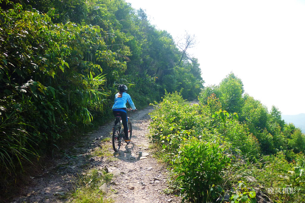 ��206��Ҫ������·