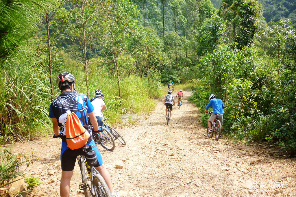 ����������������࣬ɲ��Ҫץ������Ҫ��ʯͷ