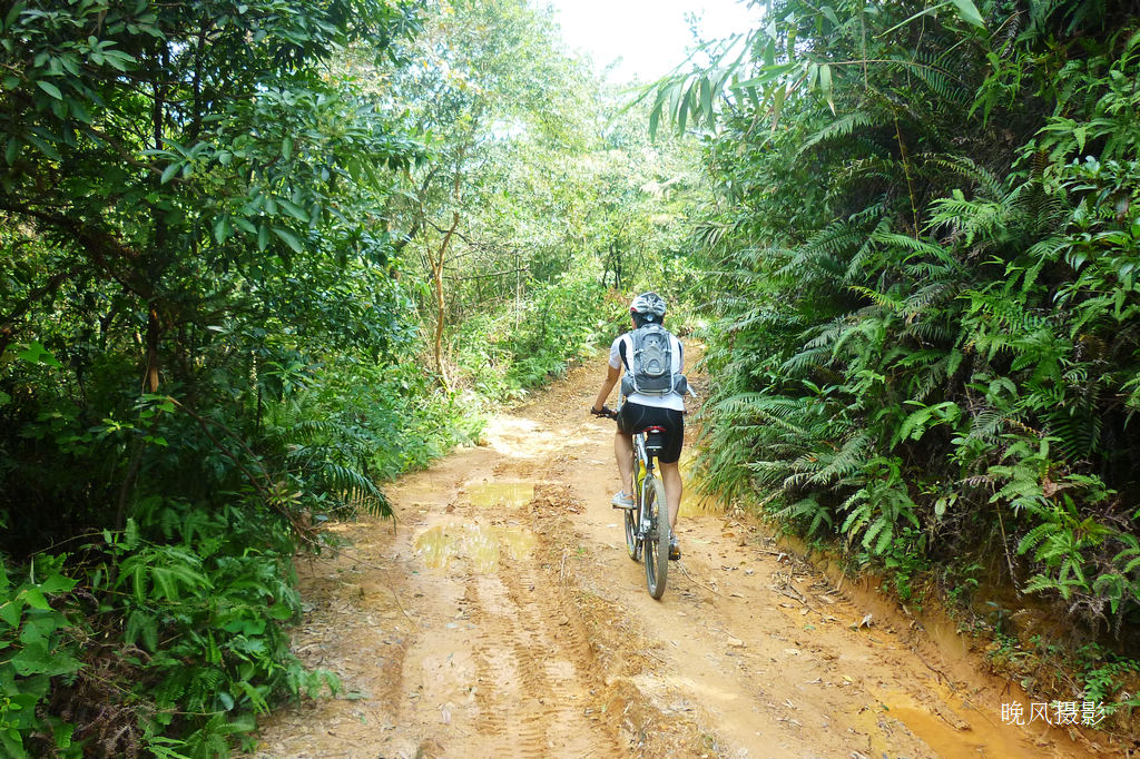 ��ɽ�д�Խ�����ܸ�����