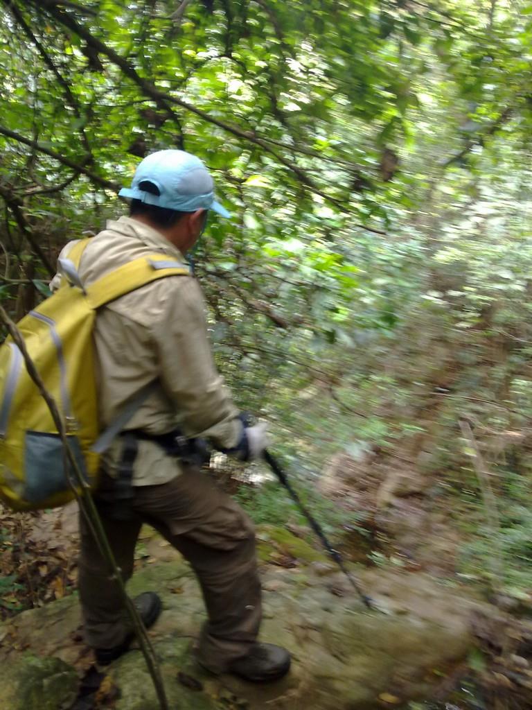 ����ɽ����