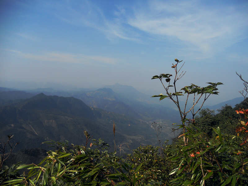 ��Ƭ 813_����.jpg