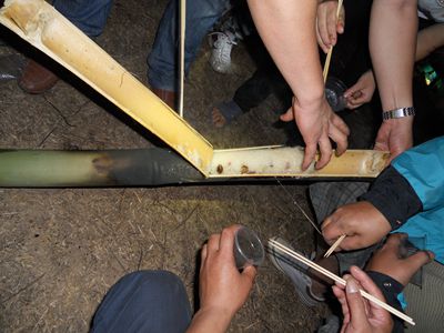 ��������ʲô�С���צ�������ˡ�