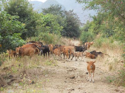 ��Ƭ 1542_����.jpg