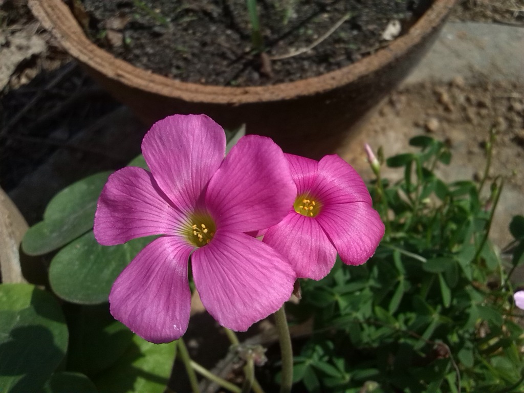 ����� 1.jpg