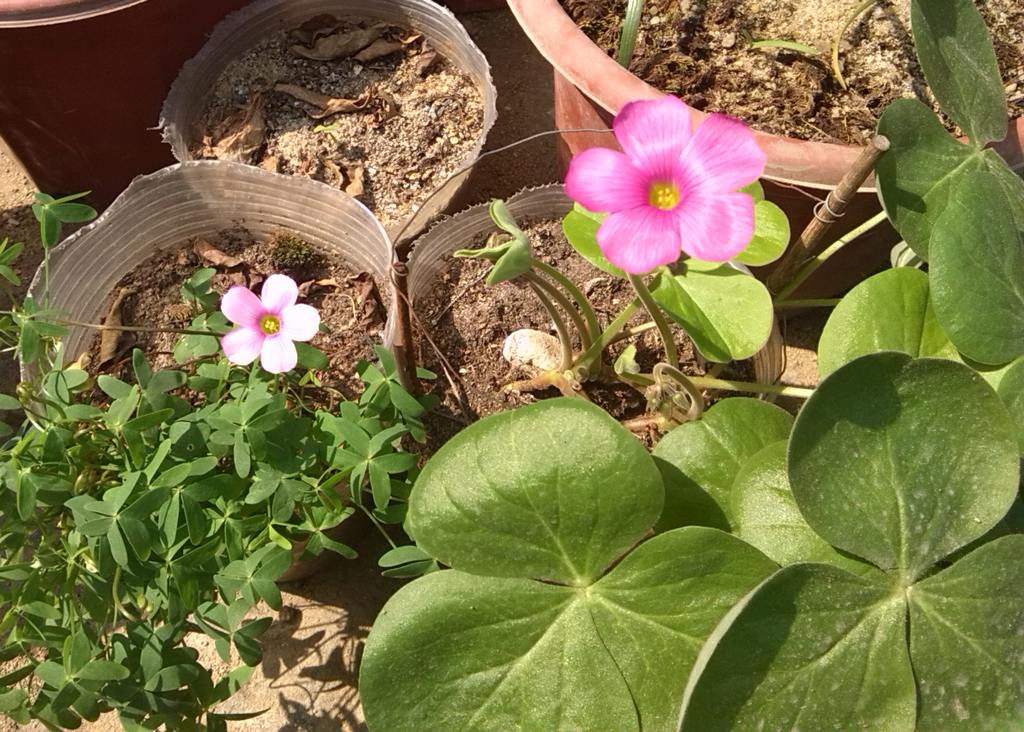 ������ �� ����� 1.jpg